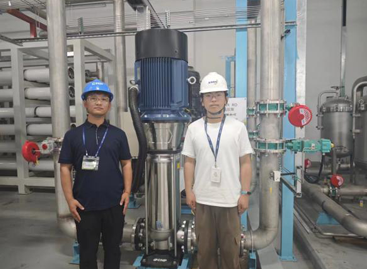 麻将胡了破解版(官方)最新IOS/安卓版/手机版APP下载